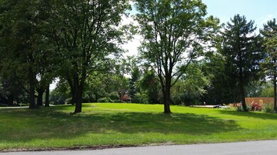 tp lot pic 3
