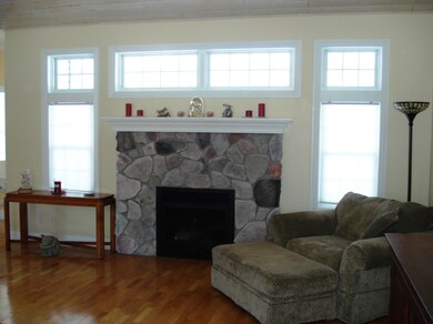 Living room fireplace