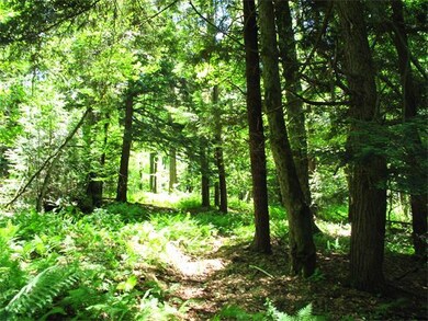 135 Wheeler Ave, Orange, MA 01364 - photo 5