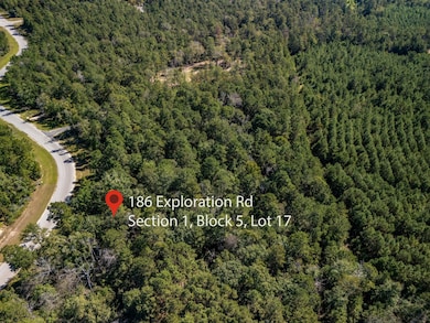 186 Exploration Rd, New Waverly, TX 77358 - photo 6