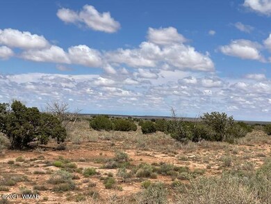 IMG_9816 (1)