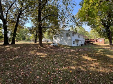 575 Goldsmith Ave, Mammoth Spring, MO 72554 - photo 4