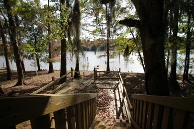 1125 McNatt Falls Rd, Uvalda, GA 30473 - photo 5