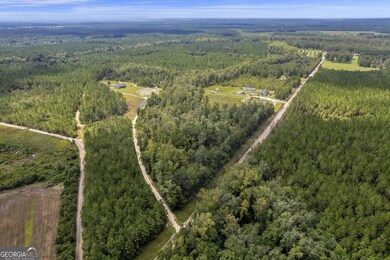 1139 Henry Walcott Rd NW, Ludowici, GA 31316 - photo 3