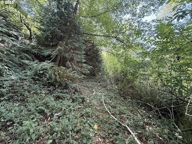 0 Averill Hill Rd unit 705339825, Portorford, OR 97465 - photo 4