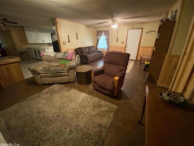 N Red St, Sheridan, AR 72150 - photo 3