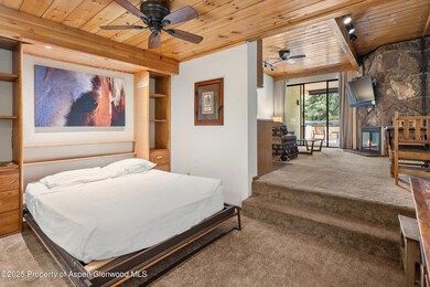 301 E Hyman Ave unit 202, Aspen, CO 81611 - photo 2