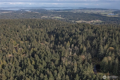 0 Cady Mountain Rd unit NWM2359002, San Juan Island, WA 98250 - photo 6