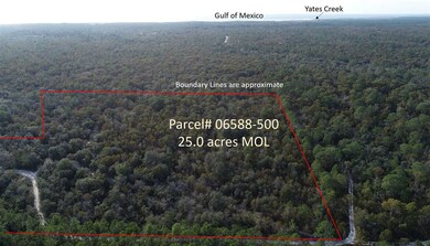 0 Clearwater Creek Ln, Perry, FL 32348 - photo 5