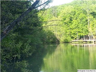 High Hampton Lake - bring your canoe!