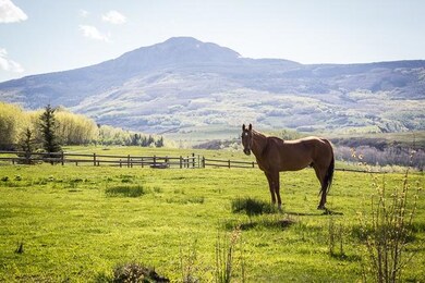 Lazy Dog Ranch Pastures