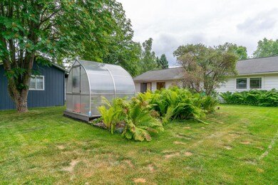 backyard (3)