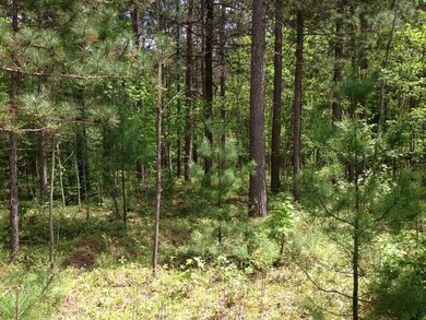 27 & 28 Whitetailed Deer Dr, Tomahawk, WI 54487 - photo 2