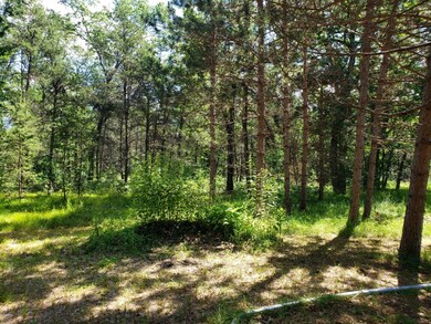 4184 S Peacock Trail, Baldwin, MI 49304 - photo 4