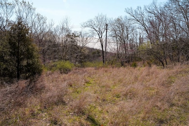 0 Frank Rea Blvd unit Lot F3 23190306, Branson, MO 65616 - photo 7