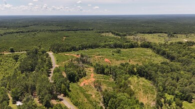 DJI_20250620133226_0099_D