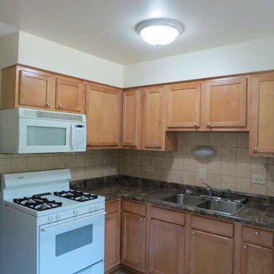 10120 Holly Ln unit 2S, Des Plaines, IL 60016 - photo 3