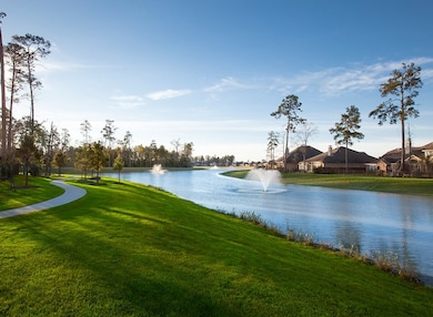 30909 Laurel Creek Ln, Conroe, TX 77385 - photo 5