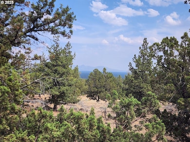 65432 78th St, Bend, OR 97703 - photo 5