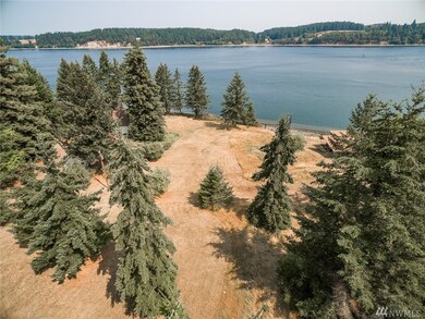 12319 Glenhaven Rd unit AI, Anderson Island, WA 98303 - photo 4