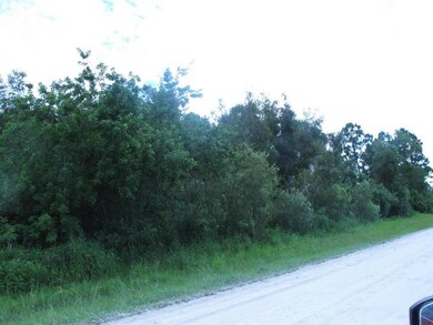 pic5