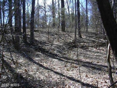 7 Lexington Ln, Earlysville, VA 22936 - photo 4