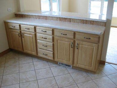 9901 Wilson Ave, Schiller Park, IL 60176 - photo 6