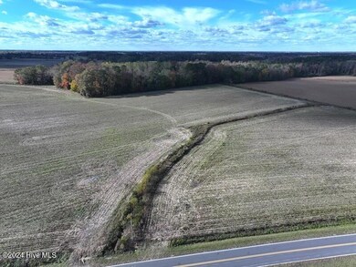 DJI_20241123145219_0431_D