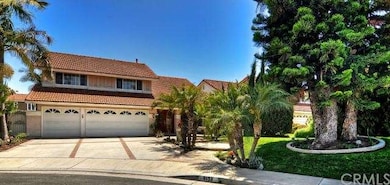 Beautiful Professional Tropical Landscaping and Cu