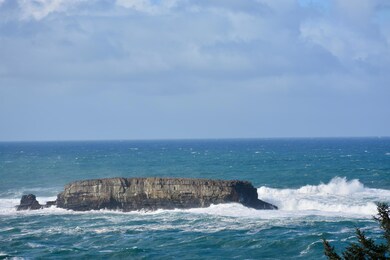 Gull rock - zoomed in
