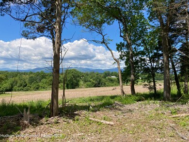 Lot 1 County Route 6, Clermont, NY 12526 - photo 6