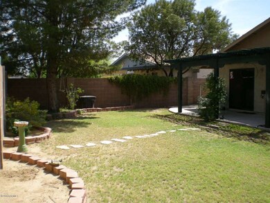 Back yard refuge