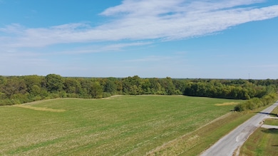 12156 E Bunny Farm Rd, Mount Vernon, IL 62864 - photo 4