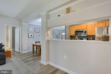 46588 Drysdale Terrace unit 103, Sterling, VA 20165 - photo 4