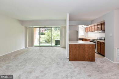 3712 N Rosser St unit 201, Alexandria, VA 22311 - photo 5