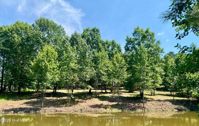 291 Gails Rd, Seven Lakes, NC 27376 - photo 2