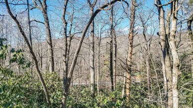 9999 Yates Ave unit PT A, Black Mountain, NC 28711 - photo 3