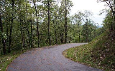 Additional View
