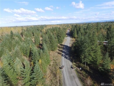 11 Starflower Ln SE, Yelm, WA 98597 - photo 4