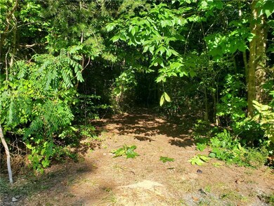 . Tall Pine St, Asheboro, NC 27205 - photo 4