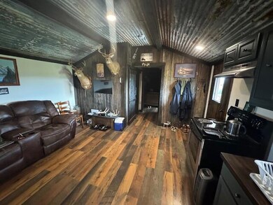 10082 Kentucky 57, Tollesboro, KY 41189 - photo 6