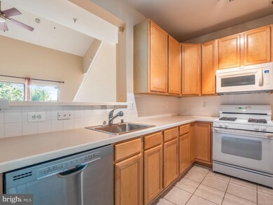 11306 Westbrook Mill Ln unit 303, Fairfax, VA 22030 - photo 6