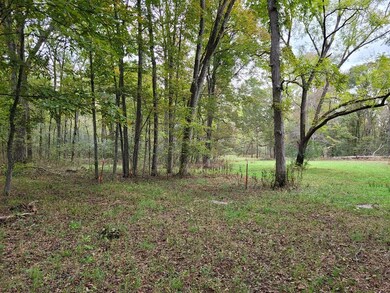 unlisted-address, Shelbyville, TN 37160 - photo 3