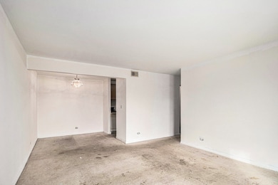 10 Oak Creek Dr unit 1020, Buffalo Grove, IL 60089 - photo 4