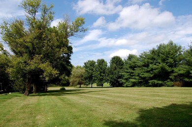 SIde Yard