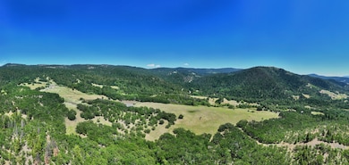 Firebird Farms_03