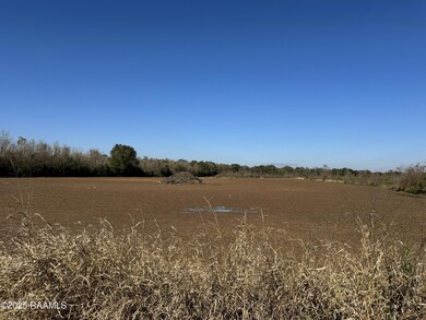 290 Cottage Ln, Church Point, LA 70525 - photo 7