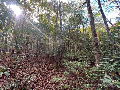 0 Wild Magnolia Way unit 46, Zirconia, NC 28790 - photo 6