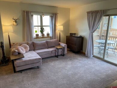 212 S Avion Dr unit 101 Cimarron Bu, Crested Butte, CO 81224 - photo 3