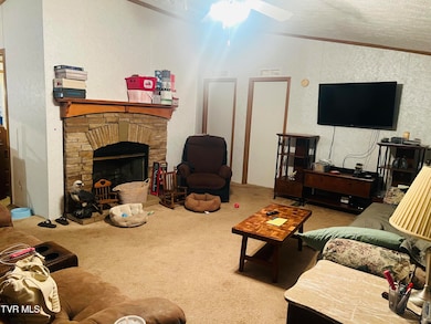 490 Courthouse Dr, Castlewood, VA 24224 - photo 6